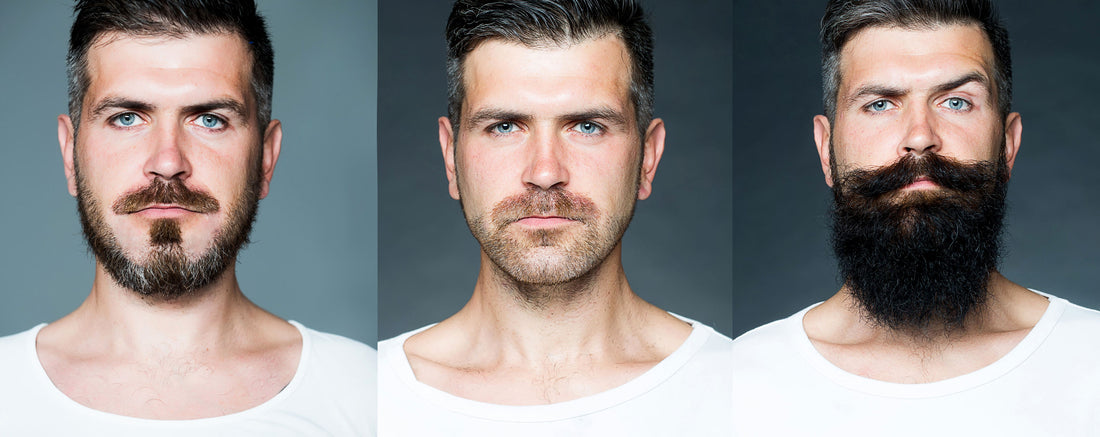 The great beard debate: Beard Oil or Beard Balm?