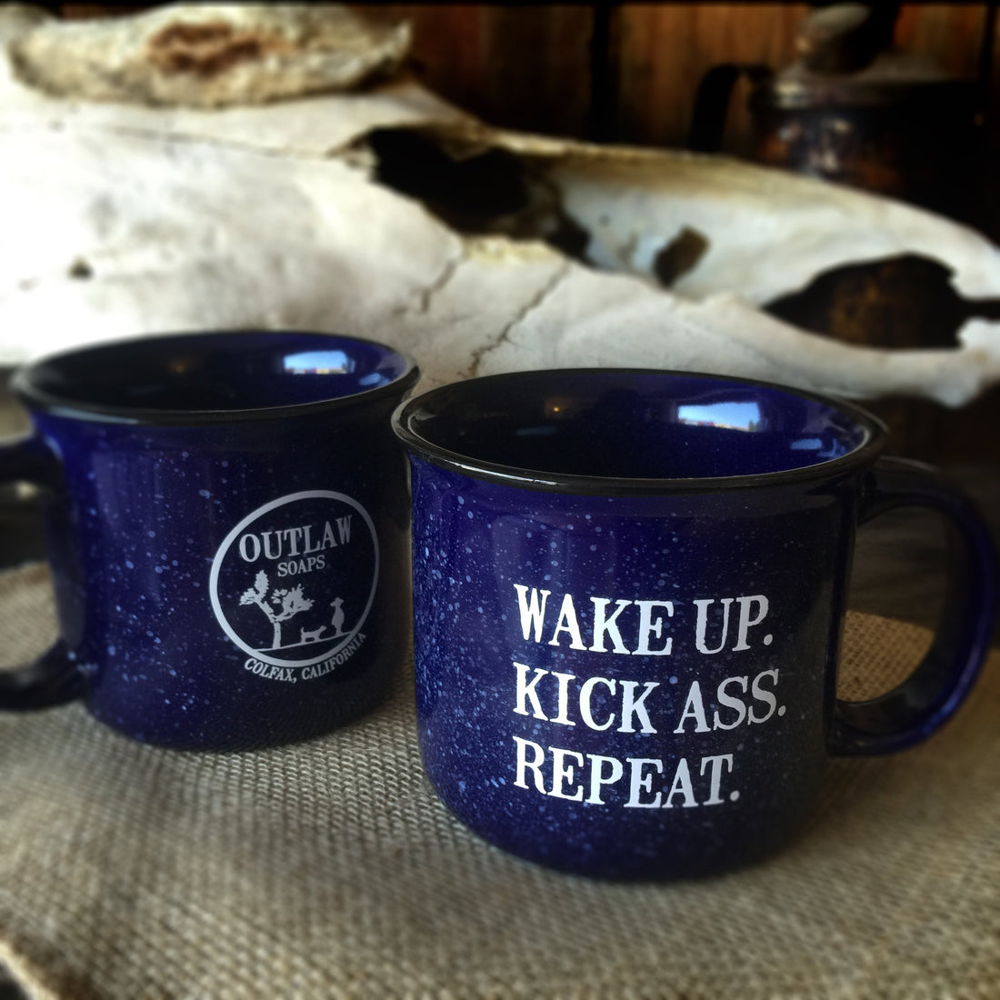 Wake Up, Kick Ass, Repeat: Our slogan, in motion.