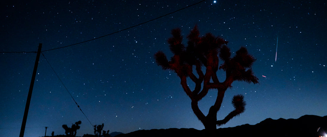 Photo of Perseids shooting stars in Joshua Tree, California
