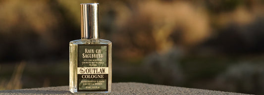 The Elusive Scent: Rain on Sagebrush