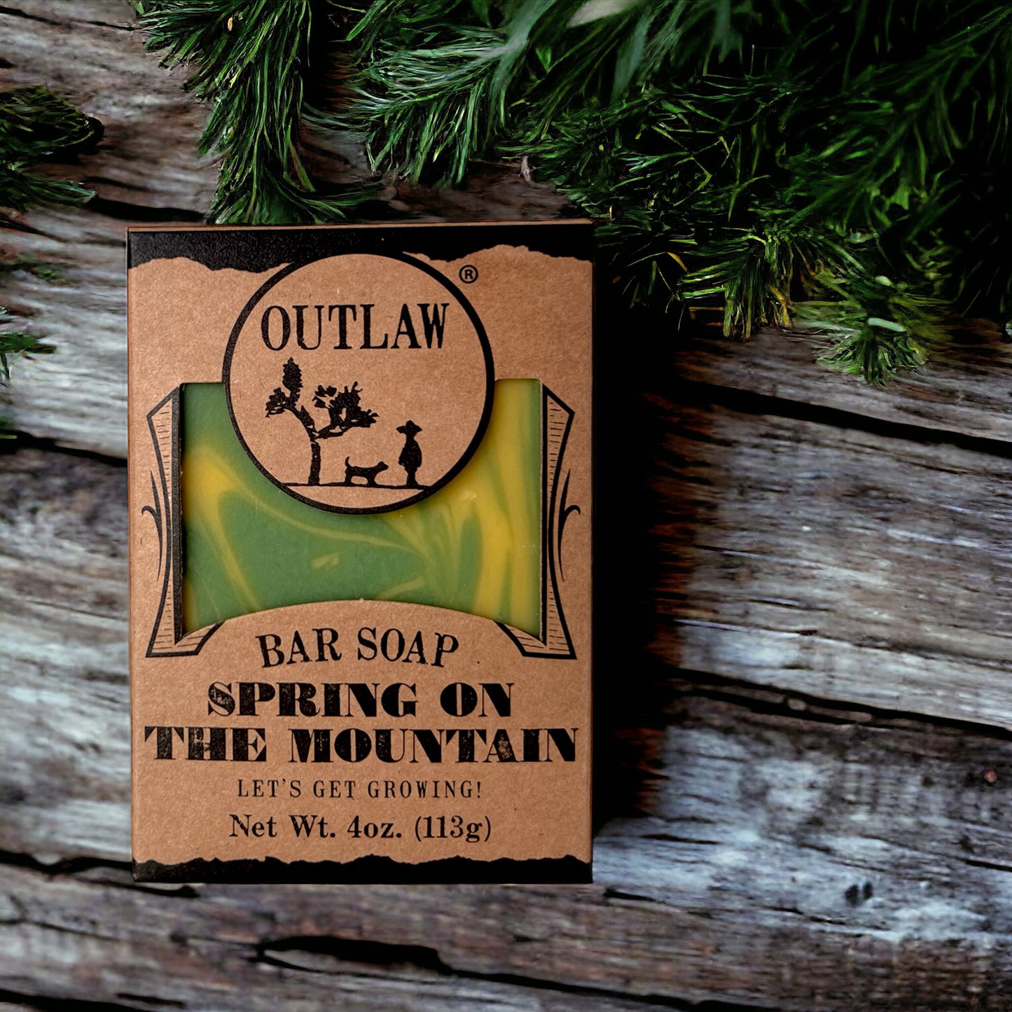 Life on the Mountain Handmade Soap