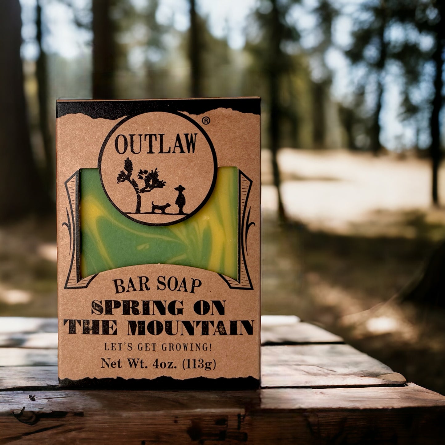 Life on the Mountain Handmade Soap