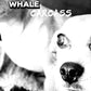 Whale Carcass Cologne For Dogs... and the Humans Who Love Them