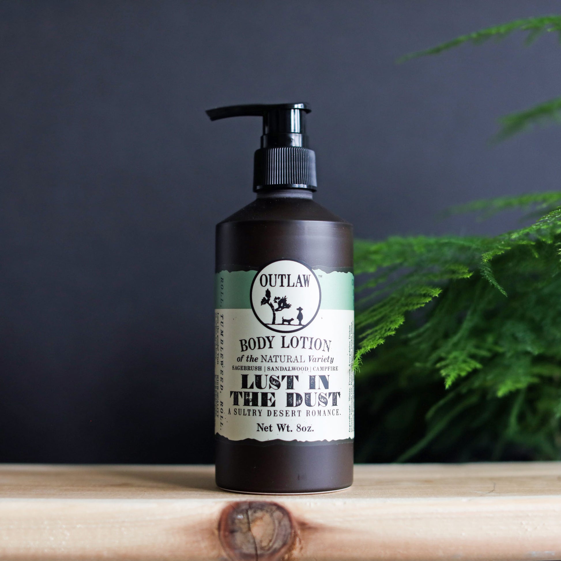San Francisco Soap Company Scented for Men Cedar and Bourbon Hand and Body  Wash