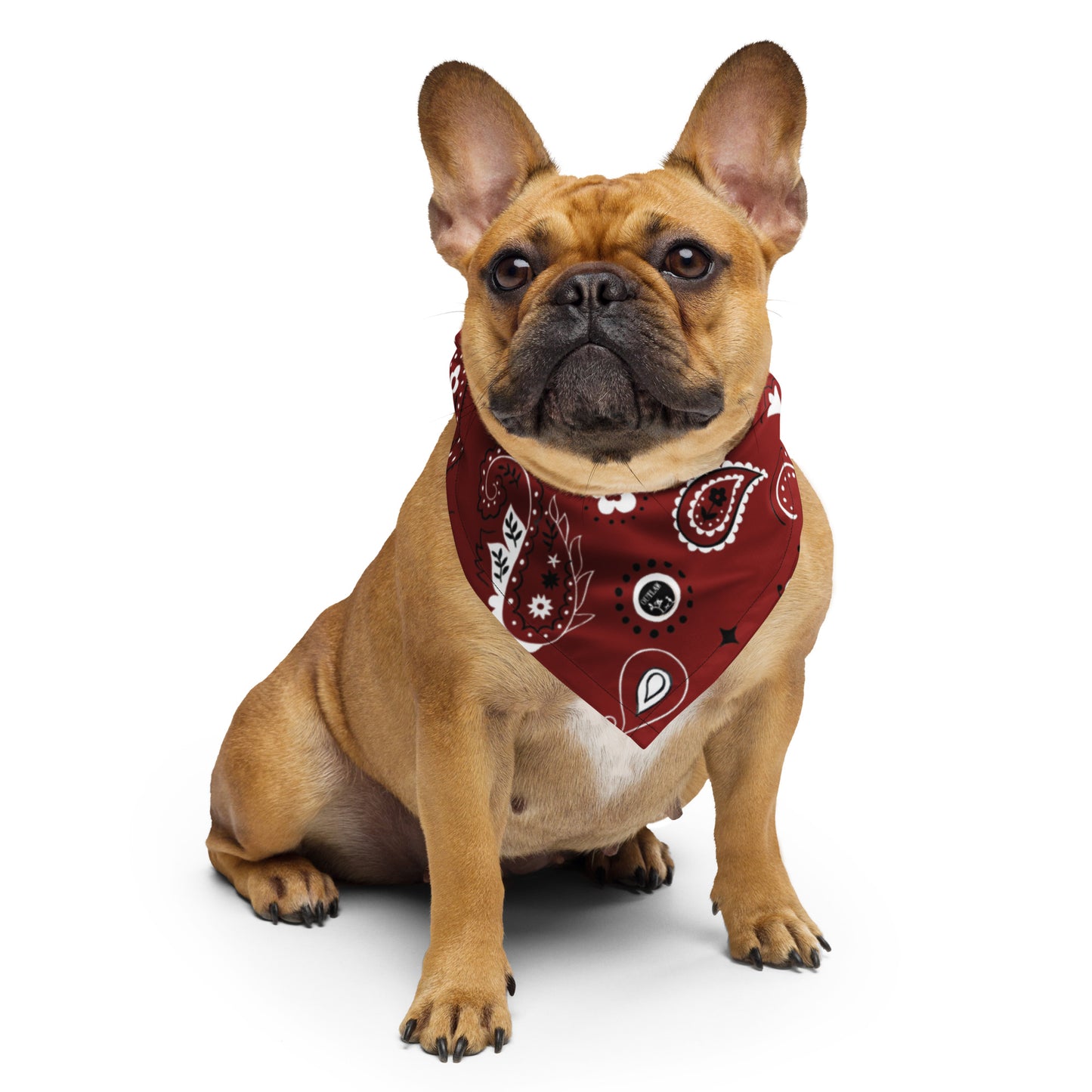 Outlaw Sit & Stay Print Bandana