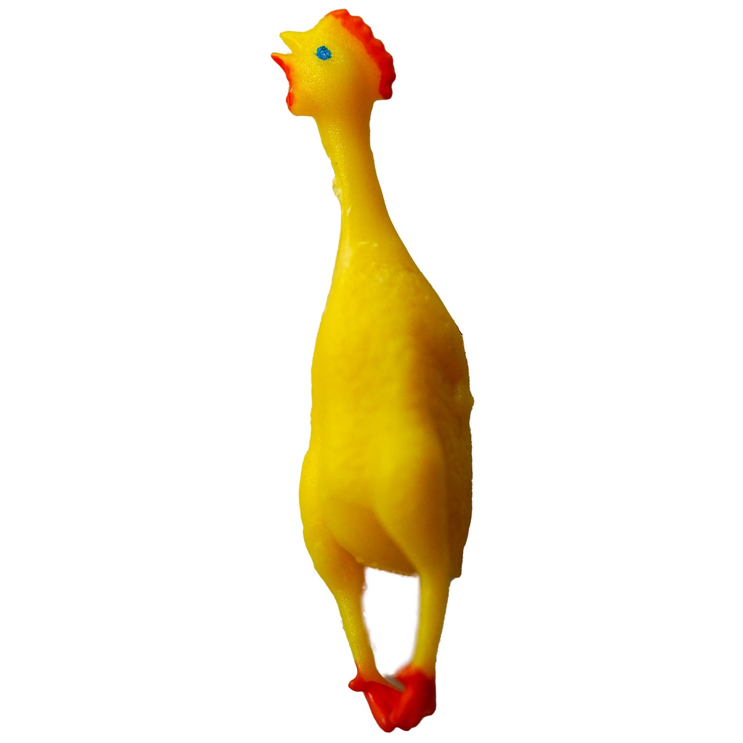 Have a fever for Rubber Chickens? Your prescription has been filled